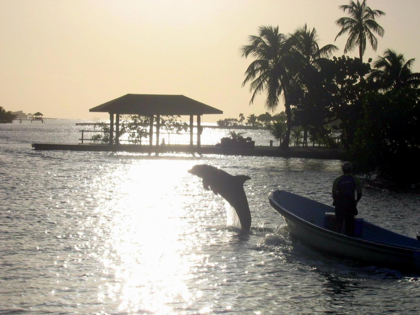 Acqua Di Mare Resort West Bay Exterior photo